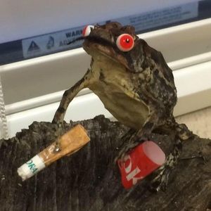 Meet your Posher, Lee